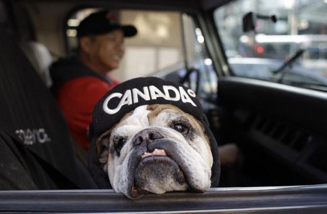 Daily picdump (129 pics)