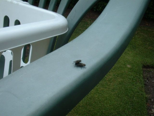 Daily picdump (129 pics)