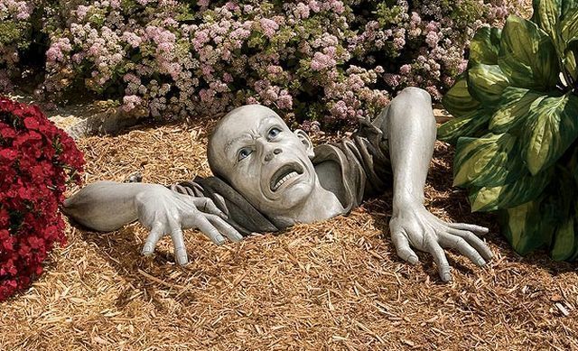Daily picdump (126 pics)