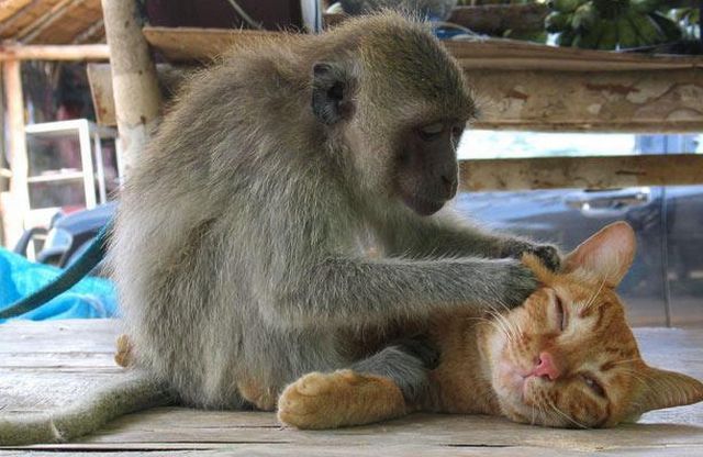 Daily picdump (126 pics)