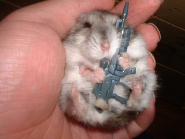 Daily picdump (126 pics)