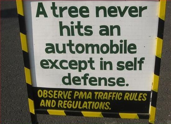Daily picdump (126 pics)