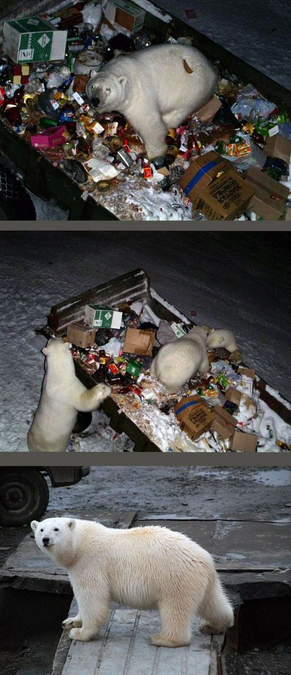 Daily picdump (126 pics)