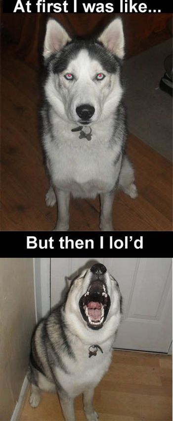 Daily picdump (126 pics)