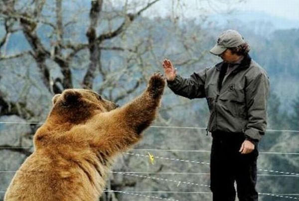Daily picdump (126 pics)