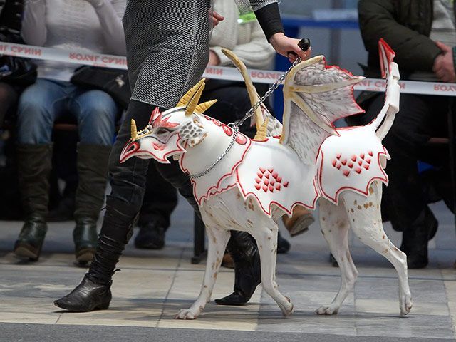 Daily picdump (126 pics)