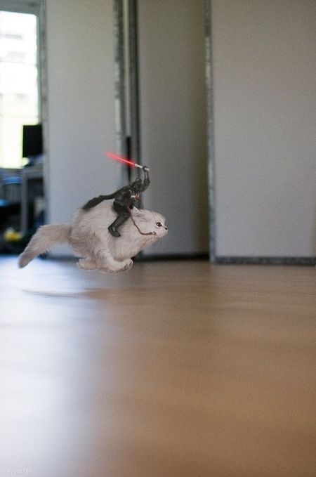 Daily picdump (126 pics)