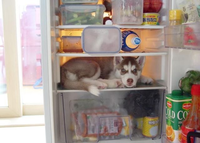 Daily picdump (126 pics)
