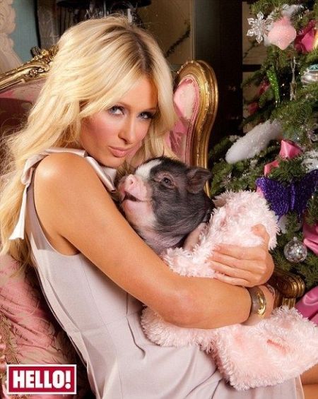 Daily picdump (126 pics)