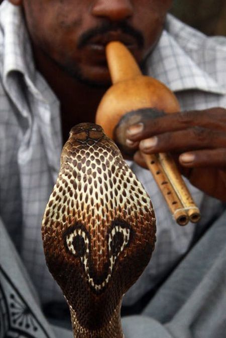 Daily picdump (146 pics)