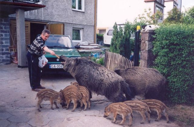 Daily picdump (146 pics)