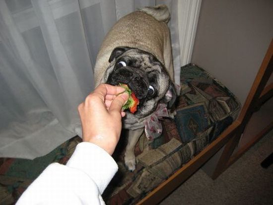 Daily picdump (146 pics)