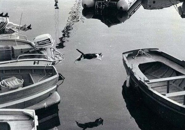 Daily picdump (146 pics)