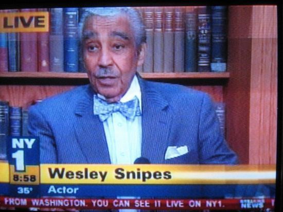 Daily picdump (142 pics)