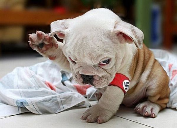 Daily picdump (142 pics)