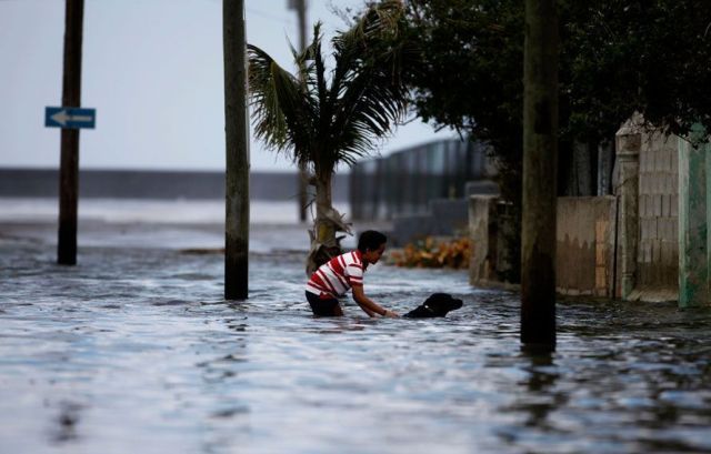 Daily picdump (142 pics)