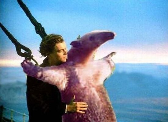 Daily picdump (142 pics)