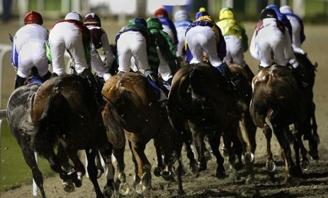 Daily picdump (142 pics)