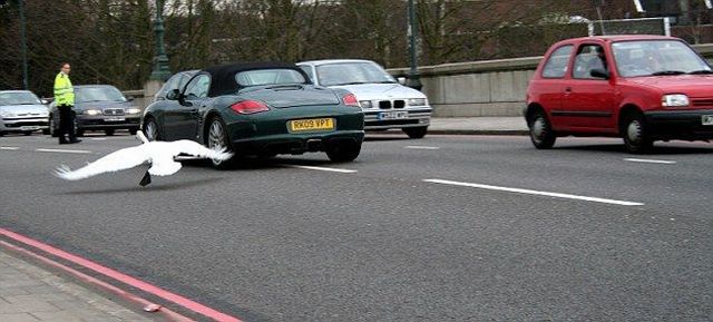 Daily picdump (142 pics)