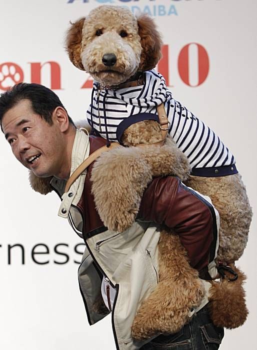 Daily picdump (142 pics)