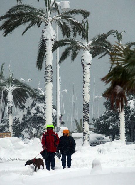 Daily picdump (142 pics)