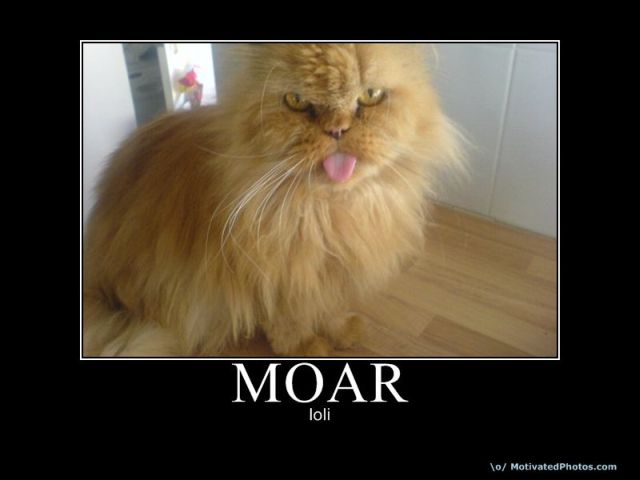 Selection of MOAR Faces (47 pics)