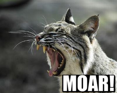 Selection of MOAR Faces (47 pics)