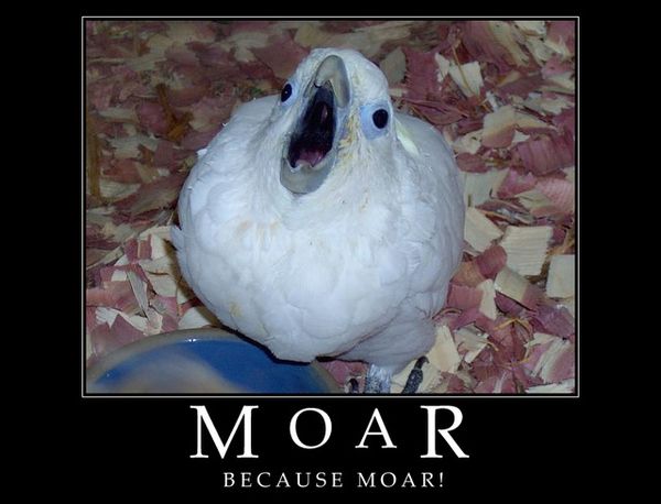 Selection of MOAR Faces (47 pics)