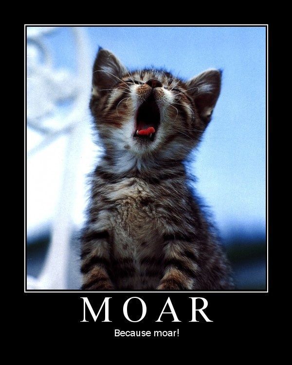 Selection of MOAR Faces (47 pics)