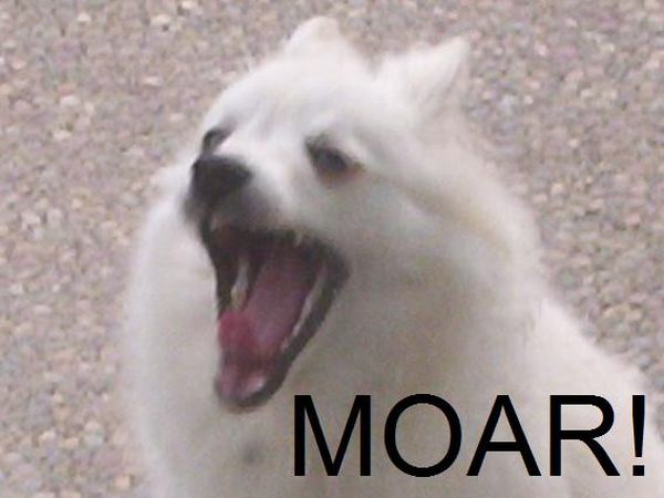 Selection of MOAR Faces (47 pics)