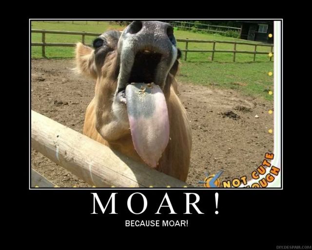 Selection of MOAR Faces (47 pics)