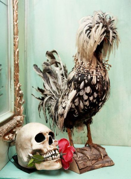 Daily picdump (154 pics)