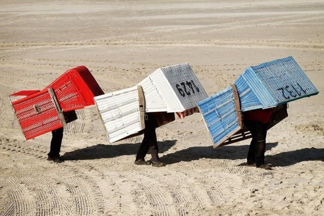 Daily picdump (154 pics)