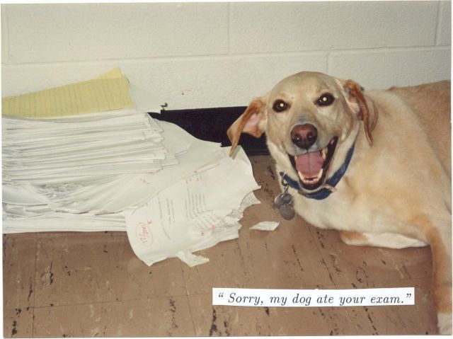 Daily picdump (154 pics)