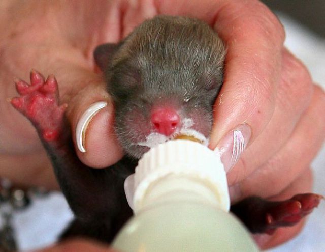 Daily picdump (154 pics)