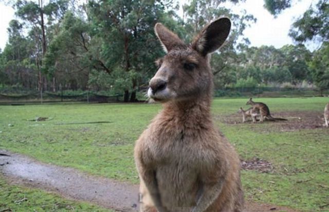 Daily picdump (154 pics)