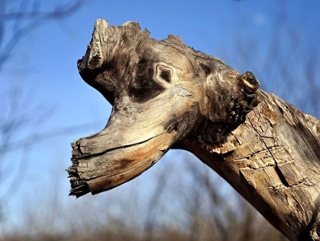 Daily picdump (154 pics)