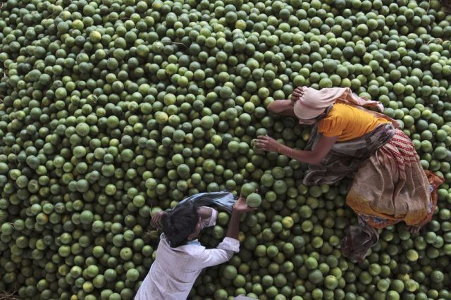 Daily picdump (154 pics)