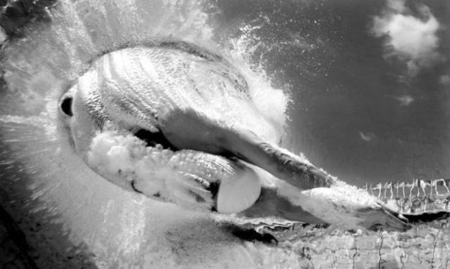 Daily picdump (154 pics)