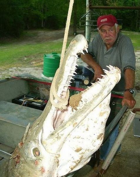 Daily picdump (154 pics)