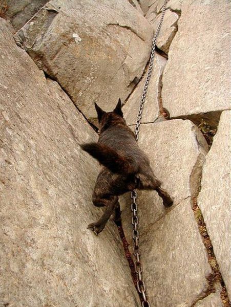 Daily picdump (154 pics)