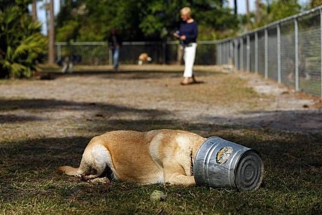 Daily picdump (154 pics)