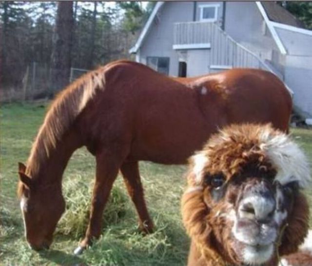 Daily picdump (154 pics)