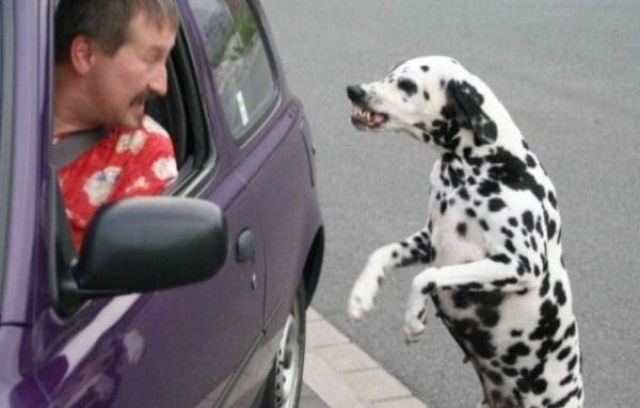 Daily picdump (154 pics)