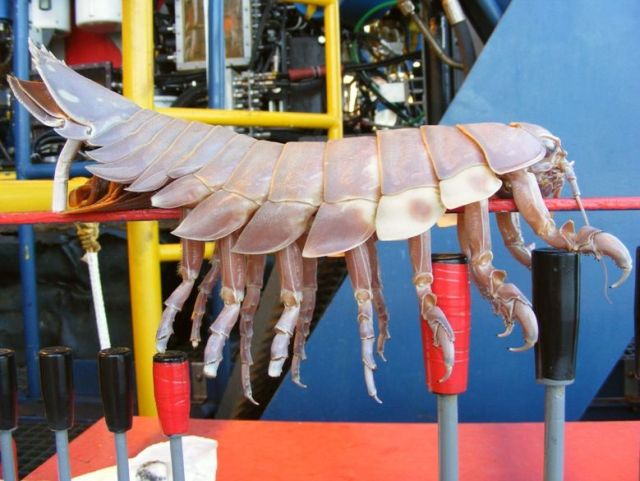 Daily picdump (154 pics)