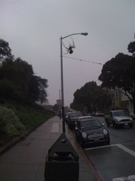 Daily picdump (148 pics)