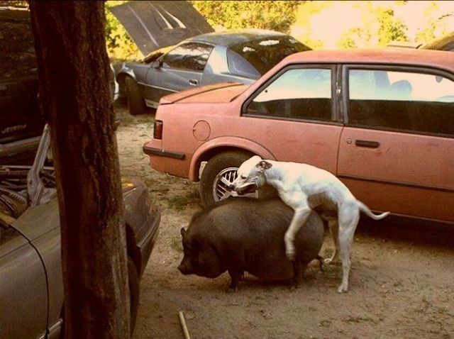 Daily picdump (148 pics)