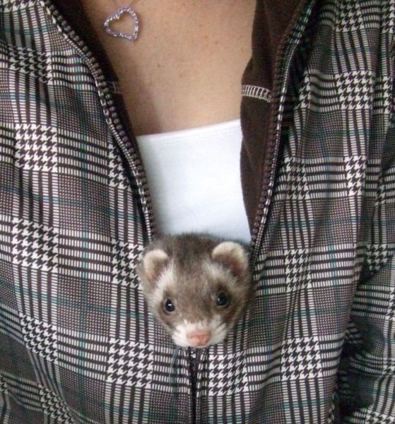 Daily picdump (148 pics)