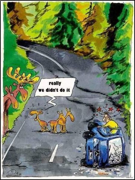 Daily picdump (148 pics)