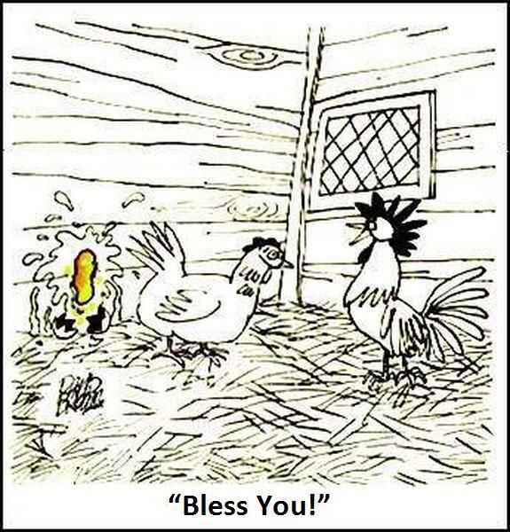 Daily picdump (148 pics)